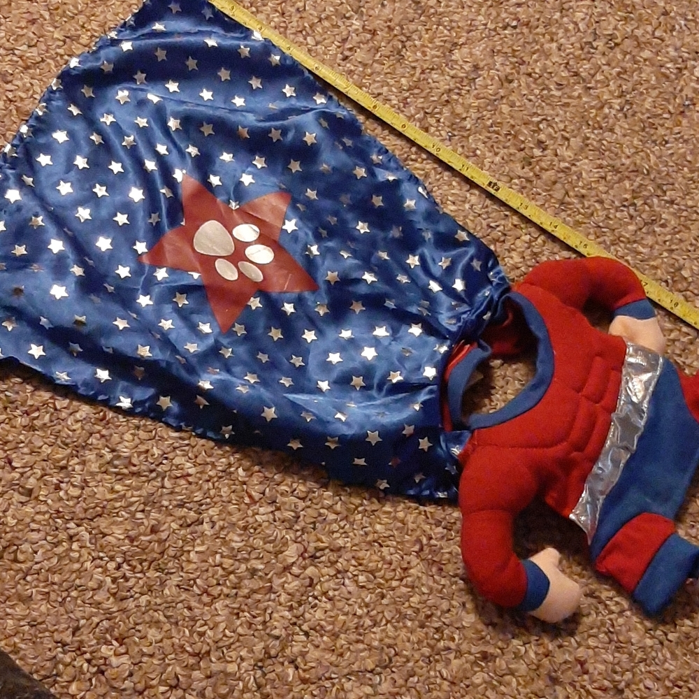 Dog pet super hero costume